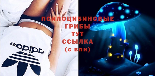дживик Алексеевка