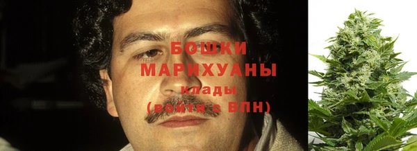 винт Абаза