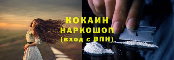молекула духа Абинск