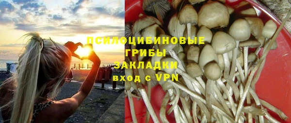 сатива Алзамай