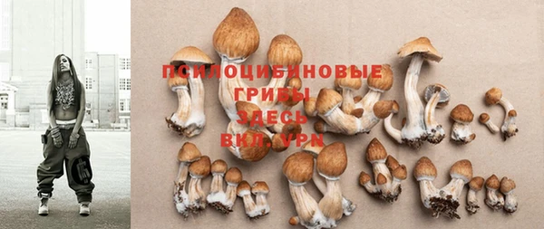 дмт Абдулино